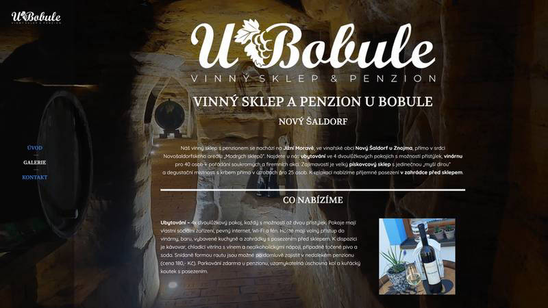 Tvorba webových stránek Znojmo